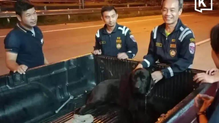 CCTV Shows Motorcycle Rider Dragging Dog for Miles