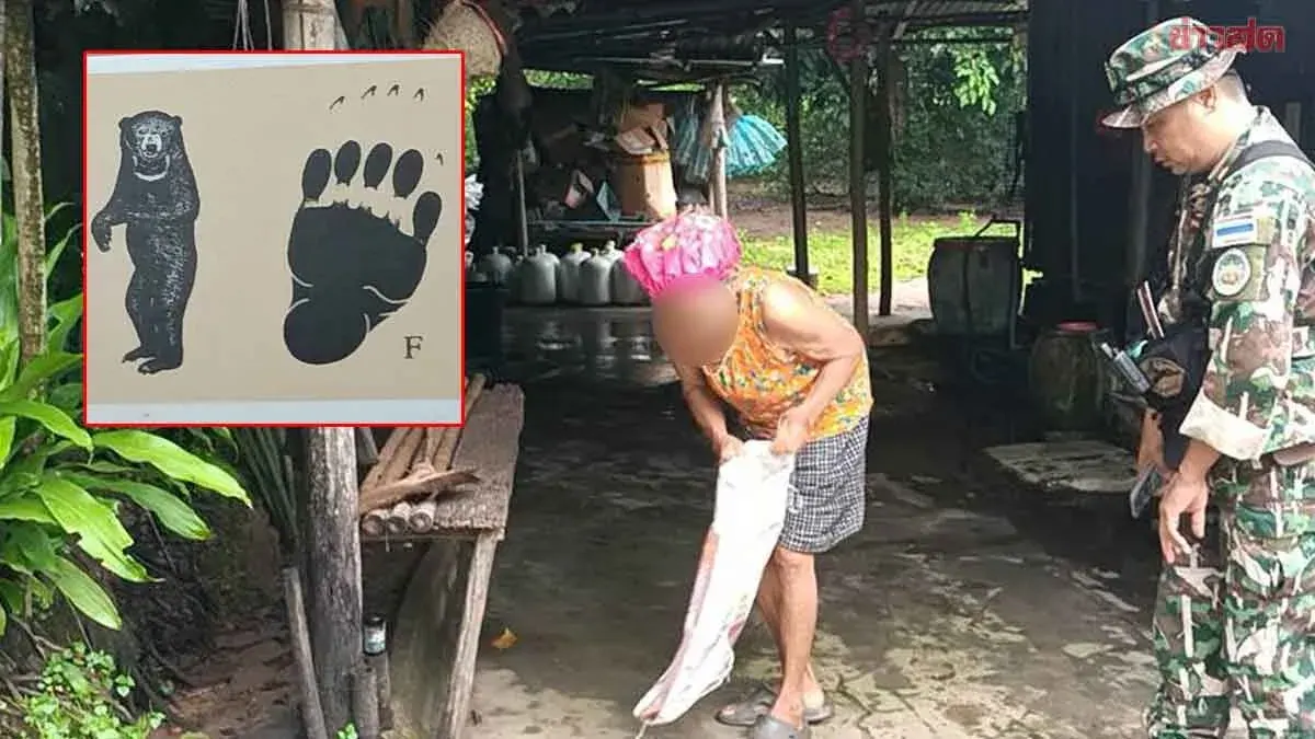 Sun Bear Kills Chickens, Shocks 70-Year-Old Woman in Midnight Attack