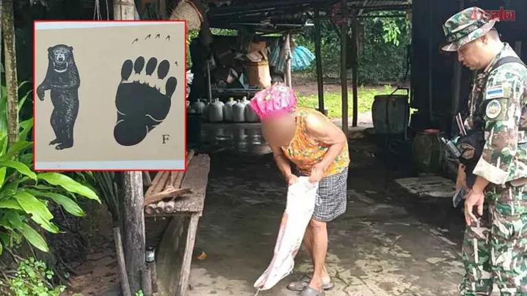 Sun Bear Kills Chickens, Shocks 70-Year-Old Woman in Midnight Attack