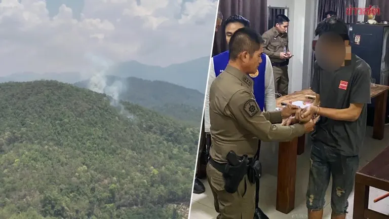 Drone Tracks Down Man Who Set Forest Fire; Followed Him Home. Suspect Confesses to Burning Forest for Honey