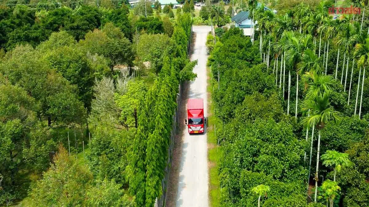 Durian Boom Drives J&T Express Shipments Up 60%, Deploys Over 100 Backup Trucks
