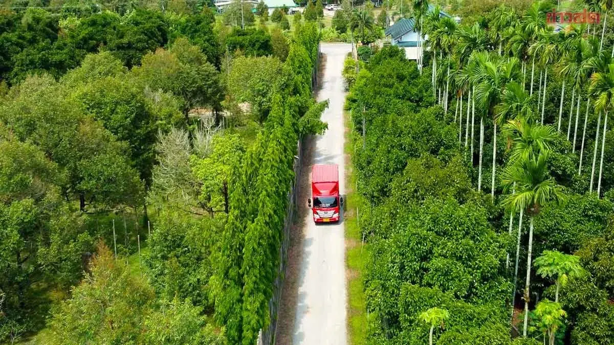Durian Boom Drives J&T Express Shipments Up 60%, Deploys Over 100 Backup Trucks