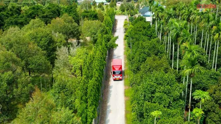 Durian Boom Drives J&T Express Shipments Up 60%, Deploys Over 100 Backup Trucks