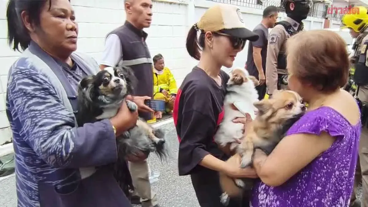 Firefighters Rescue Three Dogs From Burning Udon Thani Home