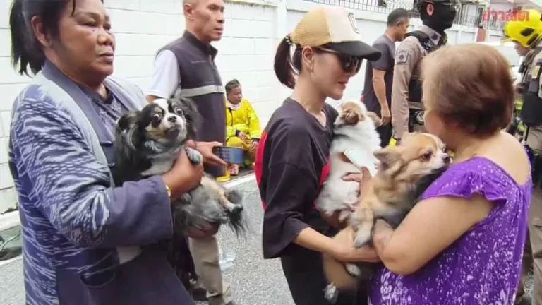 Firefighters Rescue Three Dogs From Burning Udon Thani Home