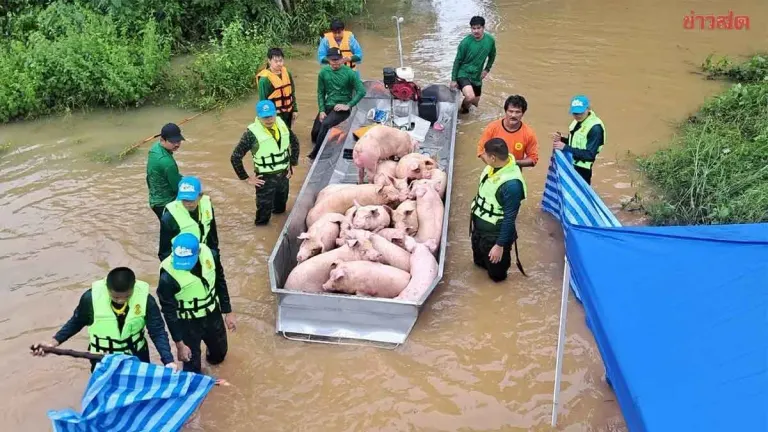 Agriculture Minister Orders Livestock Aid for Flood Victims