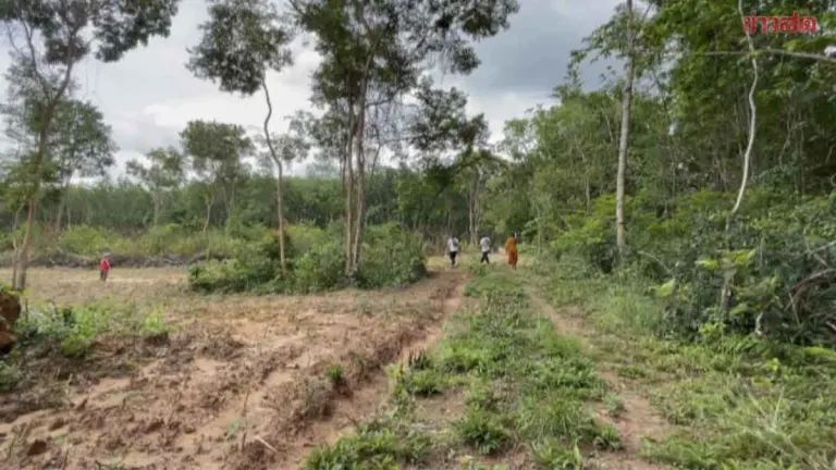 Temple Land Dispute Erupts in Surin as Heir Claims Ownership