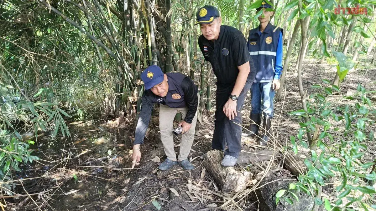 Additional Crocodile Tracks Found Near Lopburi River Temple
