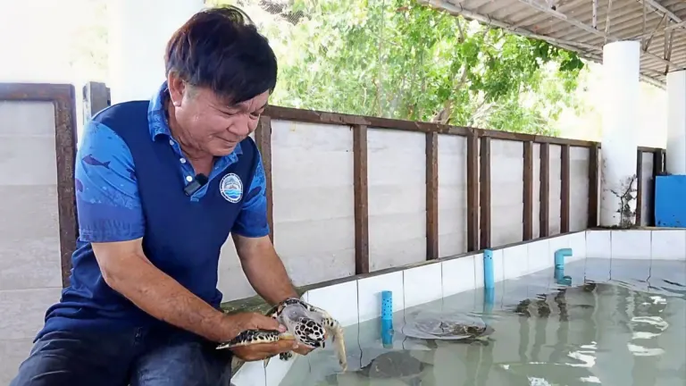 Koh Mun Nai Turtle Keeper Marks 40 Years of Conservation