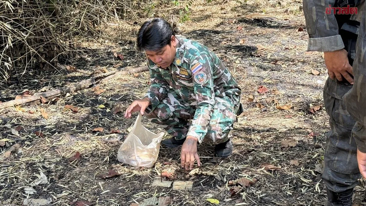 What Kind of Heart Does This Take? Authorities Discover Nail-Studded Traps Set to Injure Wild Elephants at Khao Lam National Park