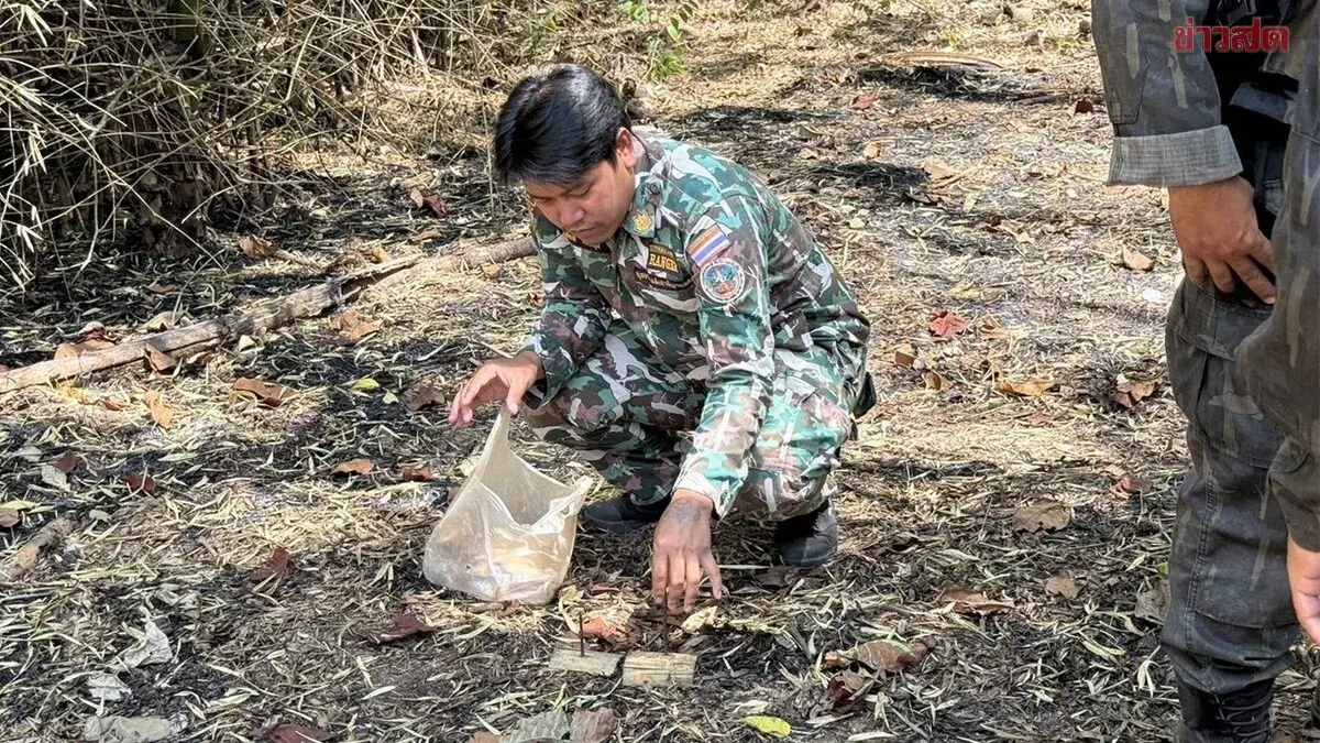 What Kind of Heart Does This Take? Authorities Discover Nail-Studded Traps Set to Injure Wild Elephants at Khao Lam National Park