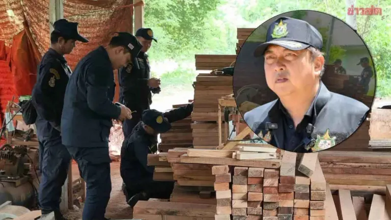 Thailand Busts Eight Illegal Sawmills in Nakhon Ratchasima