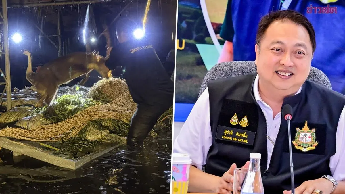 Officials Rescue Sambar Deer From Bangkok Park Floods