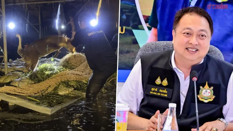 Officials Rescue Sambar Deer From Bangkok Park Floods
