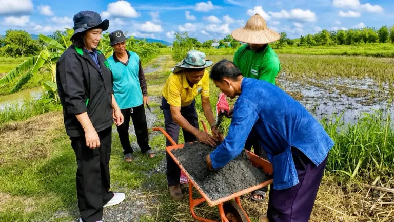 Agriculture Department Urges Farmers to Use Microbes Instead of Burning Straw