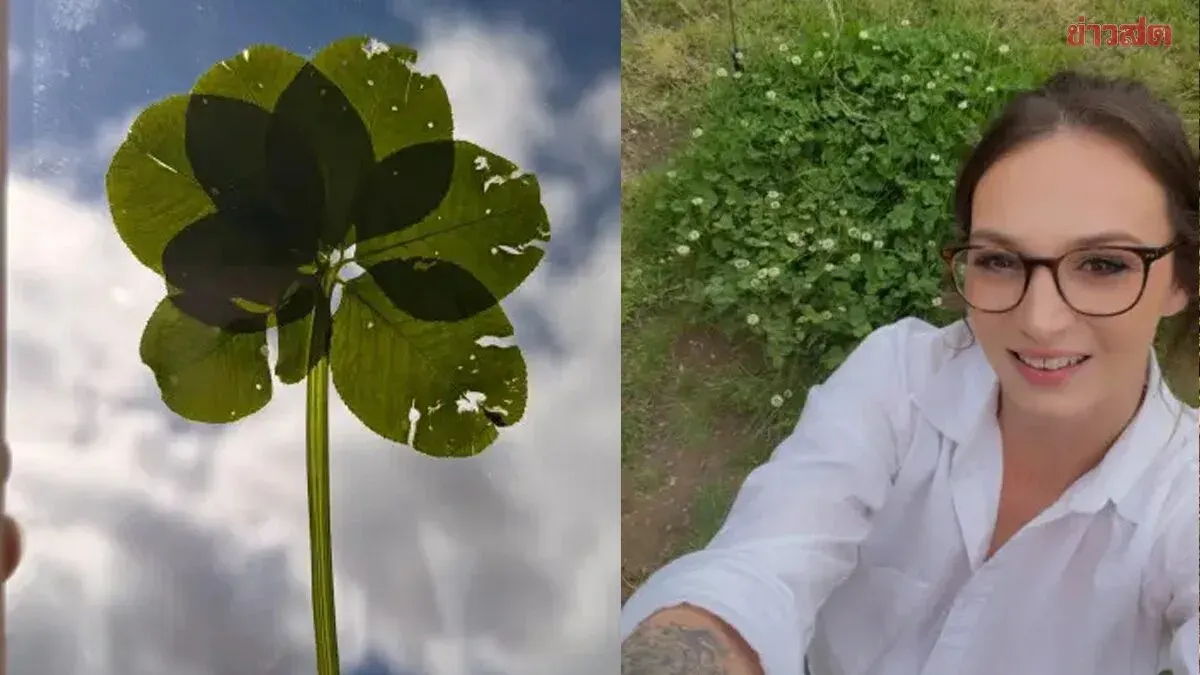 English Woman Claims Her Garden Is the Luckiest in the World After Finding Dozens of Rare Four-Leaf Clovers, Some With Up to Seven Leaves