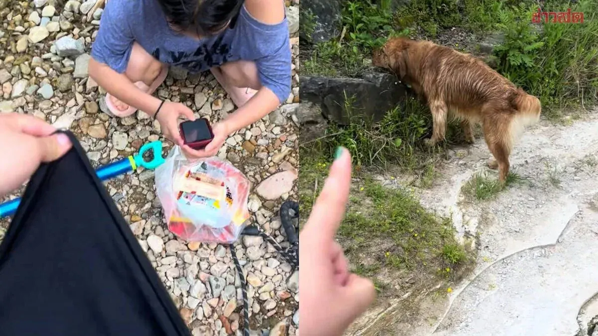 Golden Retriever Rescues Three Women From River