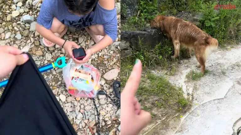 Golden Retriever Rescues Three Women From River