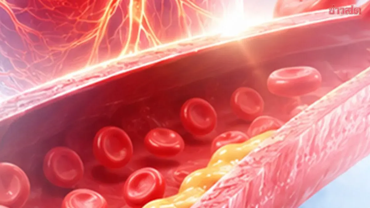 Check Your HDL Levels Now: Low HDL Signals Vessel Damage—Here's How to Improve
