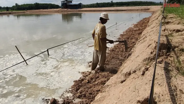 Sixty-Seven-Year-Old Man Digs 5-Acre Pond by Hand