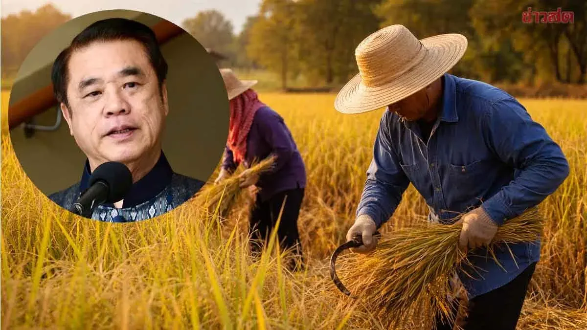 Agriculture Ministry to Push Rice Subsidy Plan to Cabinet