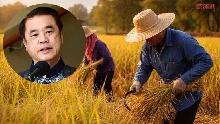 Agriculture Ministry to Push Rice Subsidy Plan to Cabinet