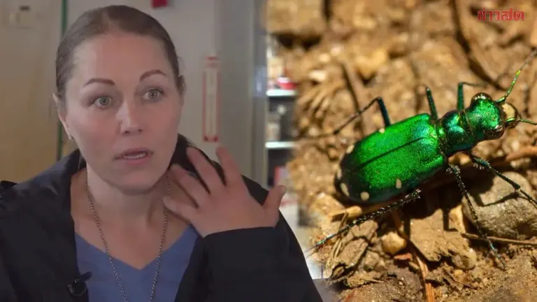 Twin Mother Nearly Dies After Accidentally Picking Up Emerald Green Insect, Loses Consciousness Three Times