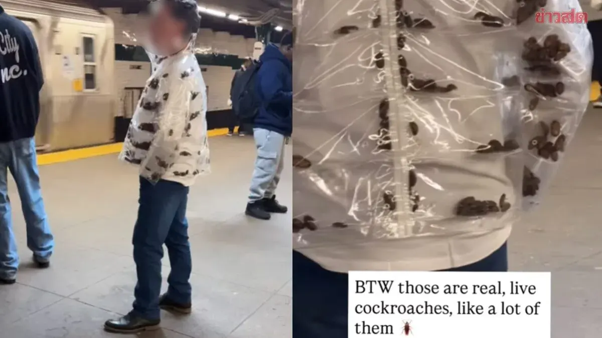 Screaming! Man Wears Transparent Jacket Packed with Live Cockroaches