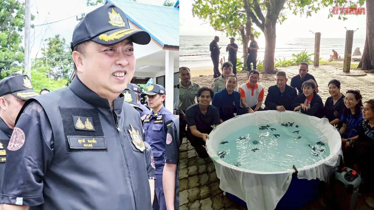 Thailand's Environment Minister Praises Sea Turtle Conservation Success