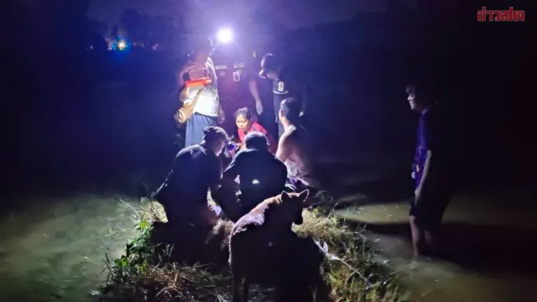 Man Killed by Lightning Strike in Phitsanulok Rice Field