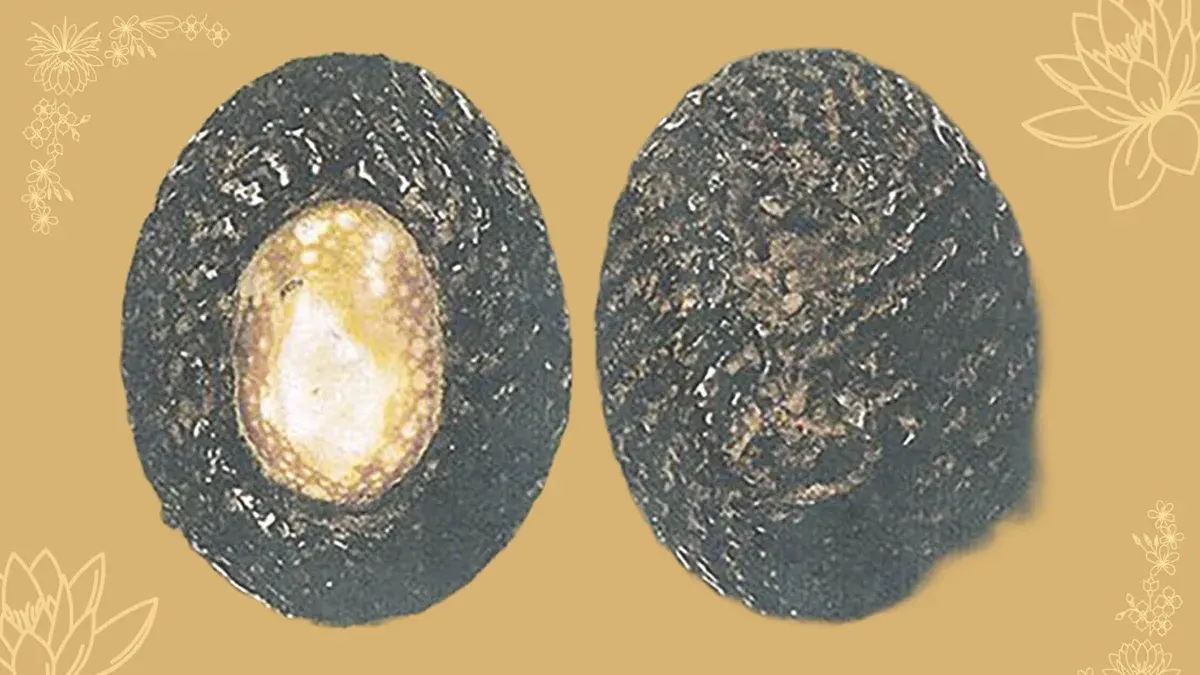 Luang Pho Pak’s Legacy Lives On Through Sacred Amulets