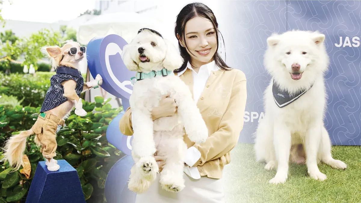 Jaspal Launches Dog-Inspired Fashion Line With Pet Adoption Event