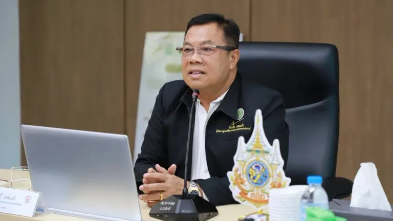 Thailand Eyes Smart Market Makeover for Struggling Chatuchak Agricultural Trader