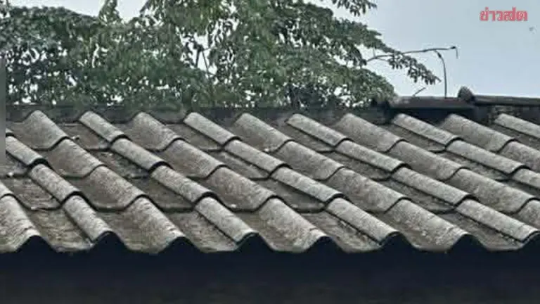 Woman Dies After Pickup Truck Hits Motorcycle
