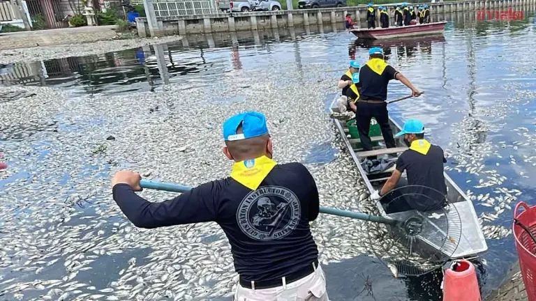 Officials Race to Remove 30 Tons of Dead Fish