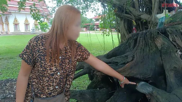 Woman Wins Over 100,000 Baht After Touching Sacred Tree