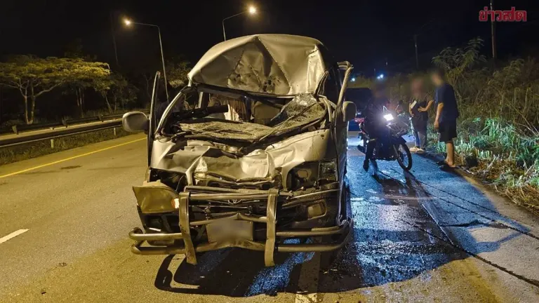 Van Hits Wild Elephant in Dark; Driver Injured