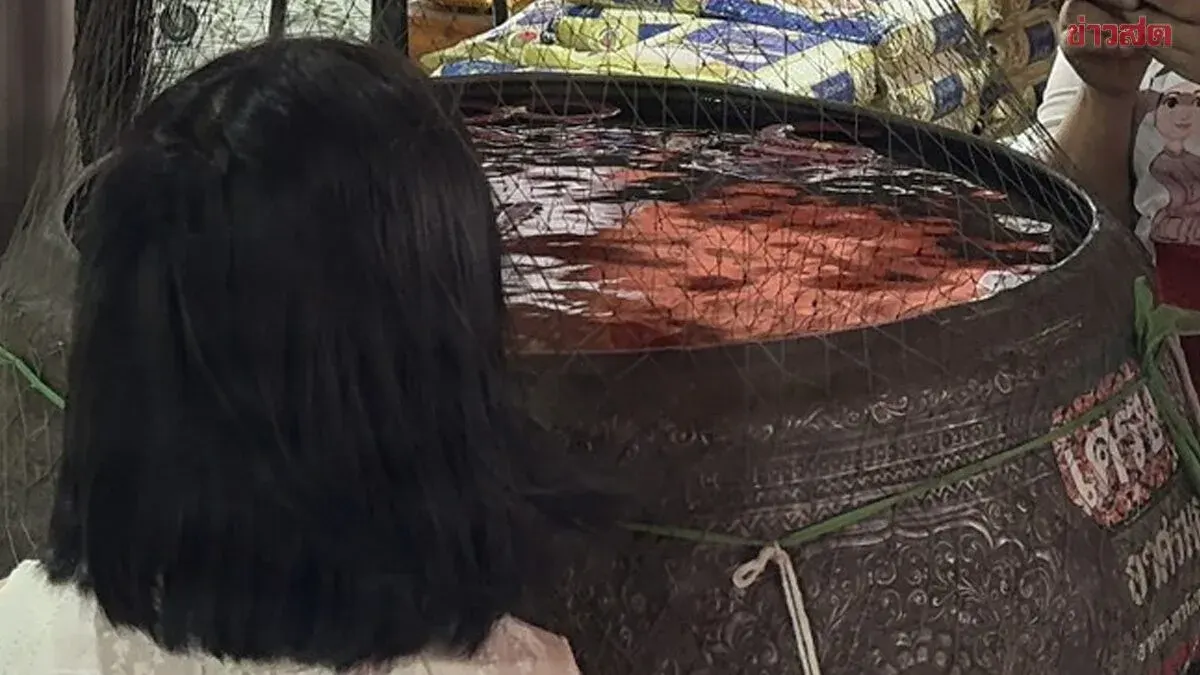 Woman Brings 100 Pumpkins to Ayutthaya Shrine for Blessing