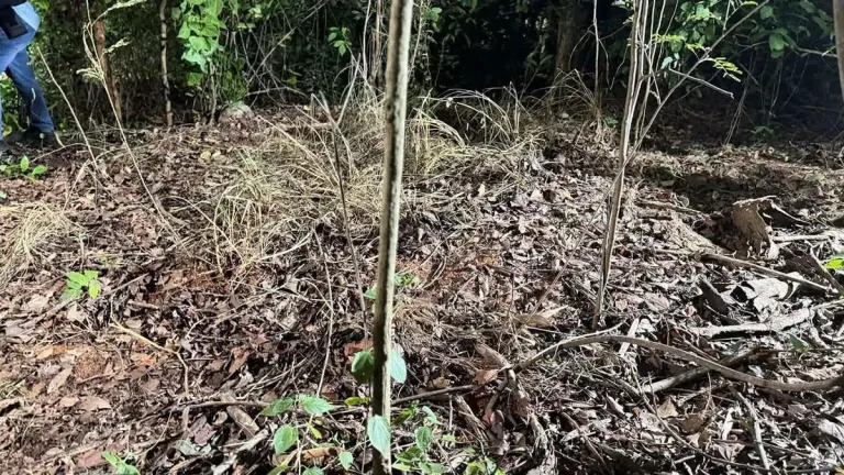 Suspect Confesses, Leads Police to Burial Site Near Pattaya