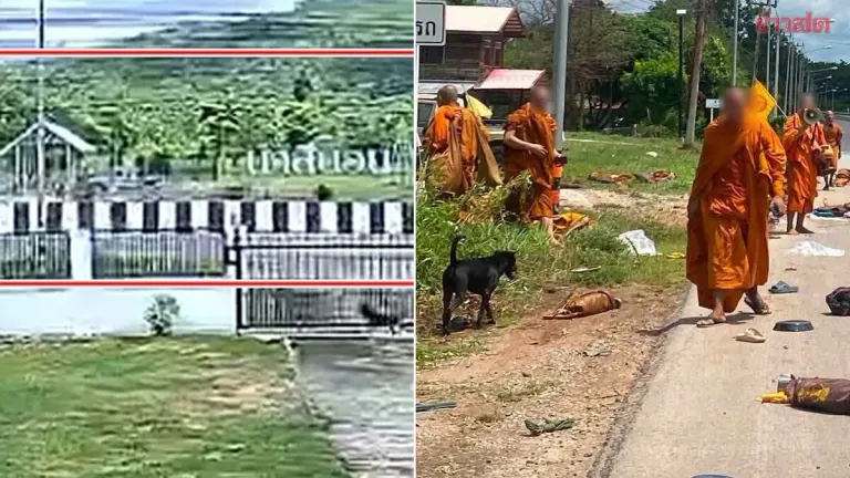 Stolen Pickup Truck Hits Alms Procession, 8 Monks Dead