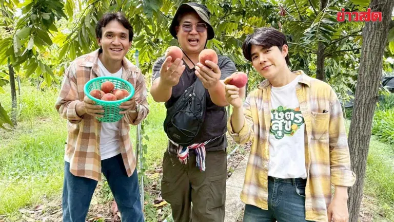 Tone and Chubie Showcase Rare 'Maerit' Forest Tree Generating Seven-Figure Income