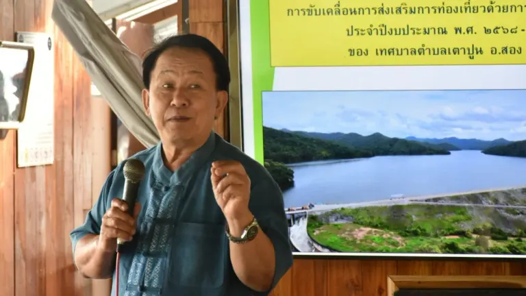 Tao Pun Model Fights Chronic Disease With Three-Color Flower Innovation