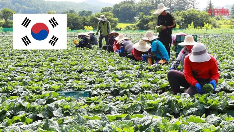 South Korea Blacklists Four Thai Provinces, Bans Agricultural and Fishing Labor Imports Throughout 2025