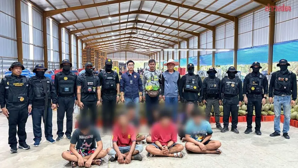 Seven Durian Farm Workers Arrested with Methamphetamine, Confess to Using Drugs for All-Night Harvesting Energy