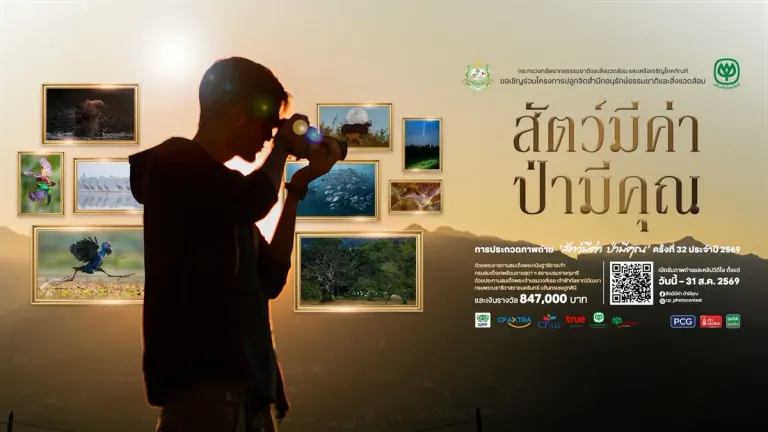 Wildlife Photo Contest Launches With 850,000 Baht in Prizes