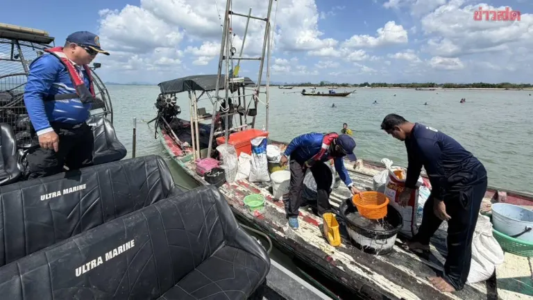 Surat Thani Fisheries Deploys Air Boats Against Illegal Cockle Harvesting
