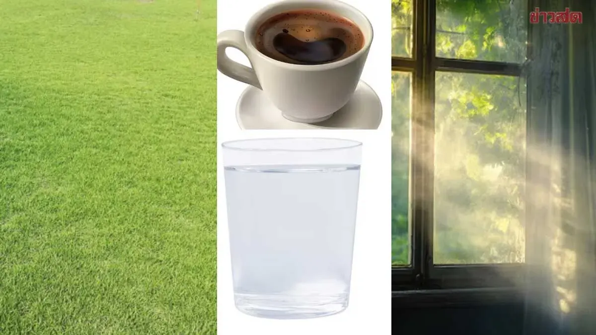 Dr. Oak Recommends 10 Simple Morning Habits to Prevent Blood Clots, Stroke, and Cancer Risk