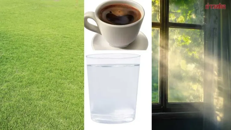 Dr. Oak Recommends 10 Simple Morning Habits to Prevent Blood Clots, Stroke, and Cancer Risk