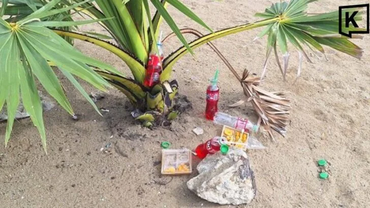 Foreign Tourists Apologize for Taking Sacred Offering at Pattaya Beach