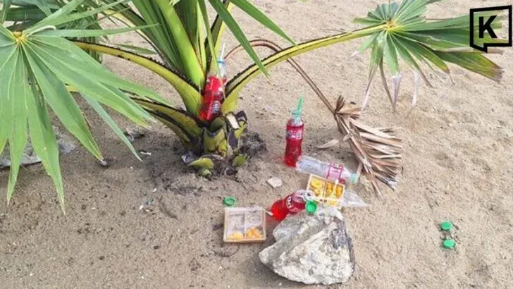 Foreign Tourists Apologize for Taking Sacred Offering at Pattaya Beach